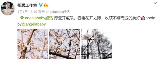 黄晓明低调捐物资，驰援上海首位艺人，还遭网友嘲讽不管家乡