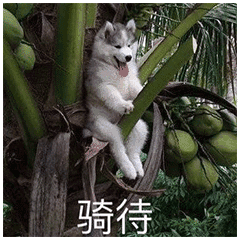 利是红包是什么意思解释（利是红包是什么意思代表什么生肖）