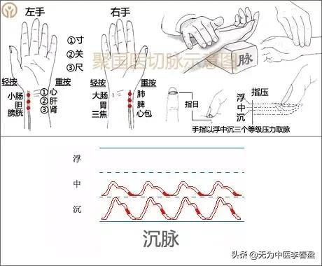 教你给自己把脉（带你入门）