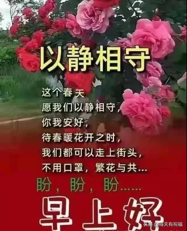 2月19日 朋友圈早上好祝福动态表情图片 清晨早上好暖心祝福句子