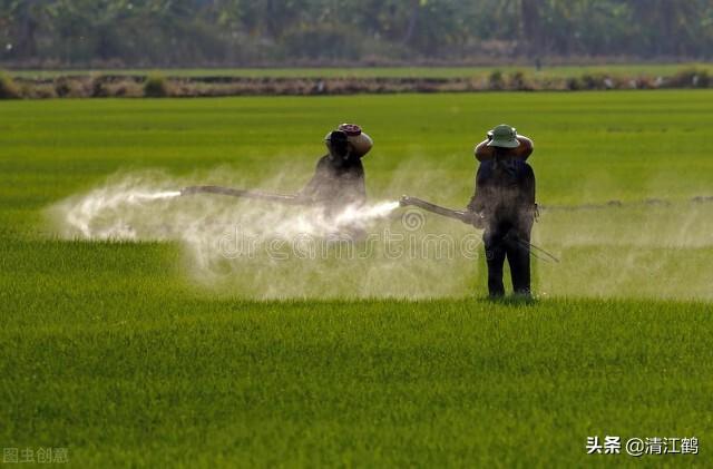 小麦施氟环唑的最佳时间？精准把握药剂作用机制，复配才会更增效3