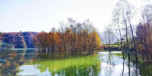 不是仙境，勝似仙境的地方——西鄉三花石