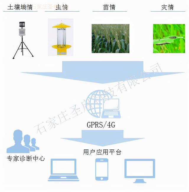 农业病虫害专家在线系统，害虫防治不再难1