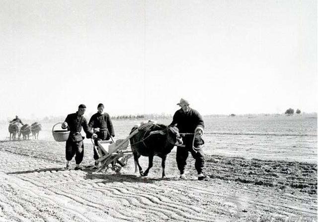 1952年，志愿军67军军长突然去世，为何没有对外公布其死讯？