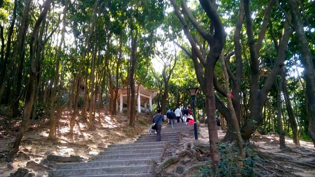 深圳8個免費旅行景點，你去過幾個？