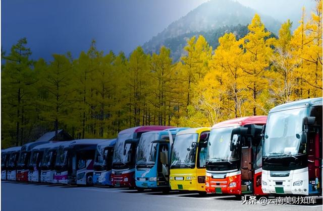 豪掷“千金”，力争云南旅游业“重返巅峰”
