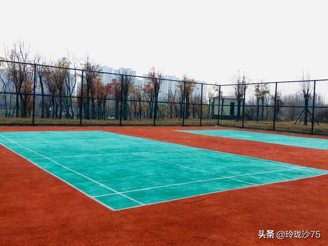 長沙唯一擁有戶外足球場的公園，更有大片水杉美景等你來
