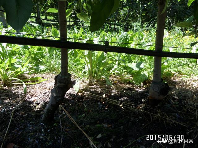 2018年意大利农业机械展