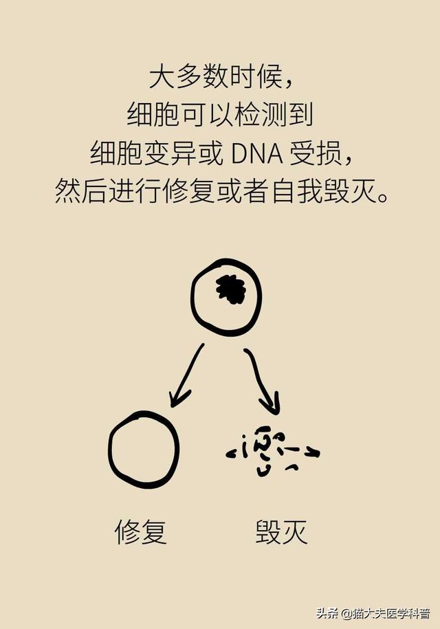 谈癌变色，这些治疗方法能够杀死癌细胞吗？