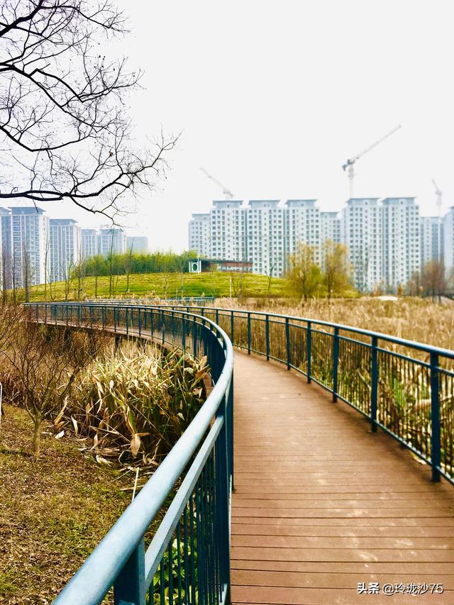 長沙唯一擁有戶外足球場的公園，更有大片水杉美景等你來