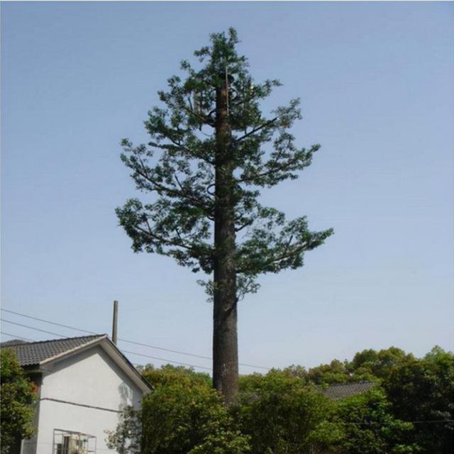 只要我伪装得够好，你们就发现不了我其实是基站