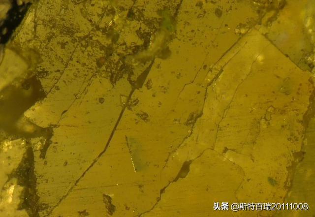 https://blog.sina.com.cn/s/blog_95b83d1401030ldj.html