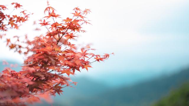 那么多年过去了，我还是放不下你