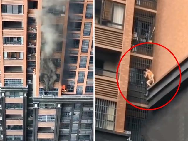 郑州34层高楼失火，“烟囱效应”太可怕，逃生该往上还是往下？