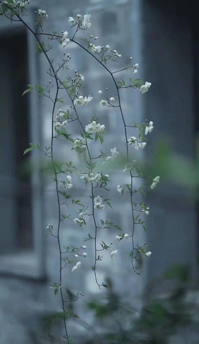 散文：人生无常，善待自己，简单生活，便是烟火中的小幸福