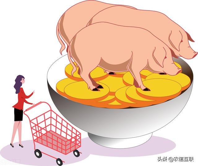 今日猪价行情|猪价变脸下跌，要跌回涨价前？官方：6月盈亏平衡点