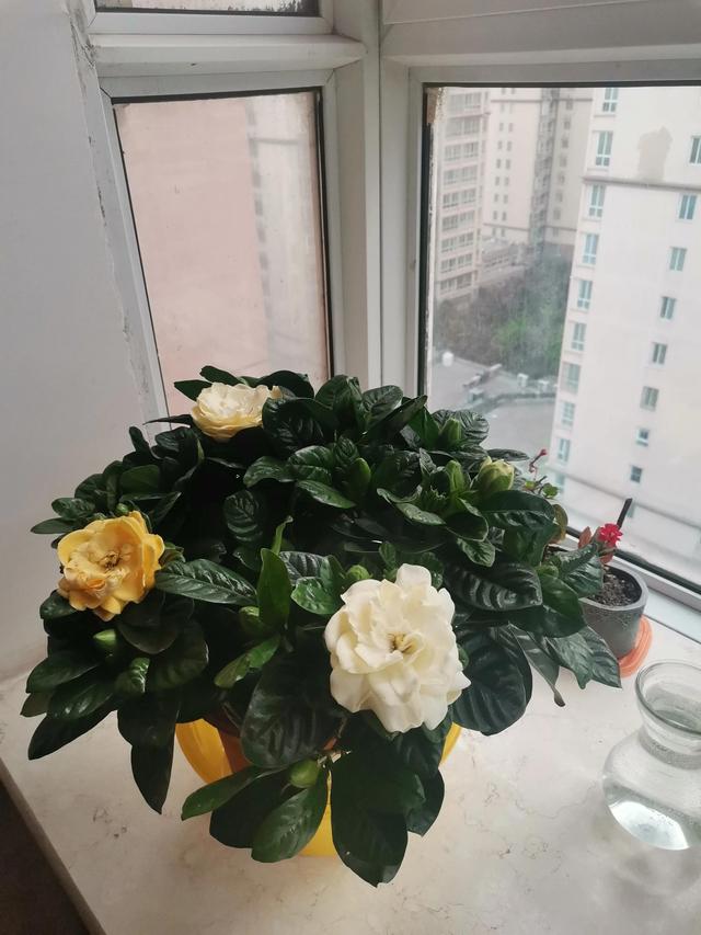 带香气的早晨