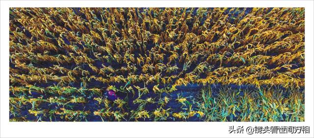 希望工程摄影作品展