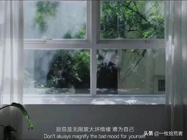 网易云热评分享：我从不惧怕黑暗，假如我从未见过光明