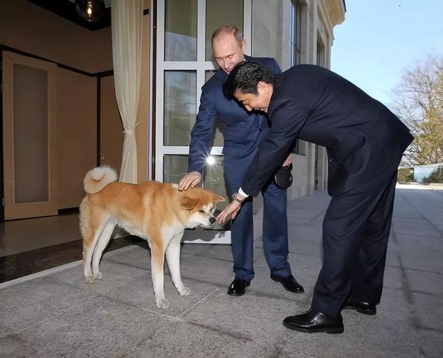 苏联提过一个条件，接受就将北方四岛还一半，日本却始终不敢答应