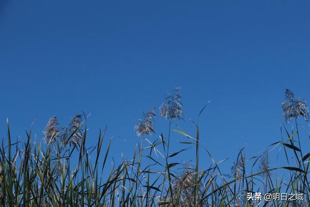 3月最后一天，“闭关”20天了！长春人啥时候能“出月子”？
