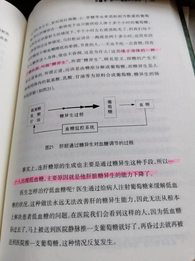 我的低血糖有救了