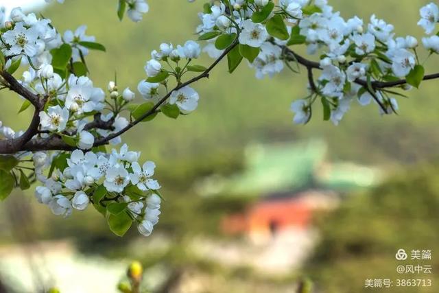 十美清東陵，您見過嗎？