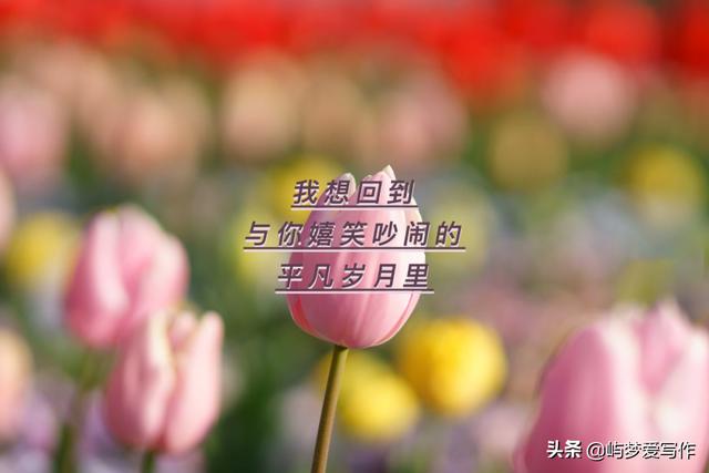 原创散文｜不一样的四月，或许会有不一样的改变