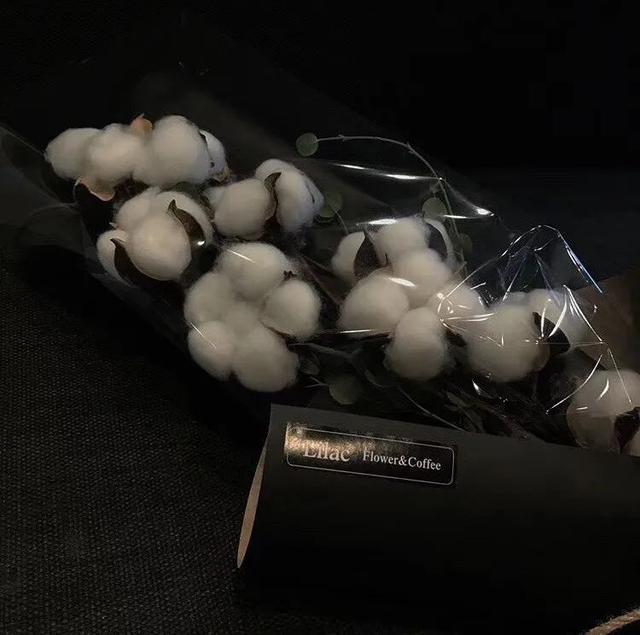 清明节说说