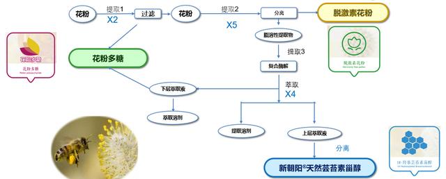 五大类芸苔素市场竞争，谁将最终引领行业发展？5