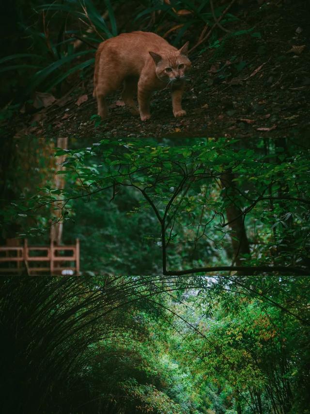 成都周边旅游