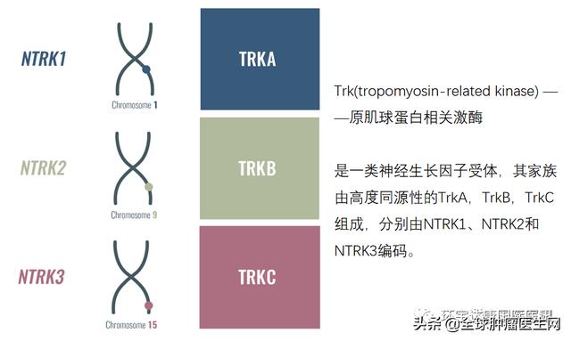 所有癌癥患者都應該檢測的泛癌種靶點NTRK，中美15種新藥已問世?