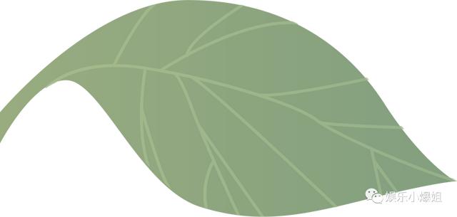 袁冰妍和成毅到底怎么了（成毅和袁冰妍现实结婚了吗）