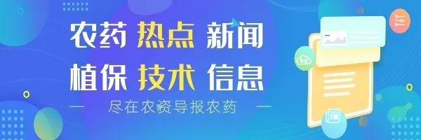 深入分析双酰胺类杀虫剂及其应用市场