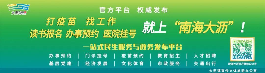 大沥村改日记②|树头议事“城市更新”,村民直呼支持河西村改!