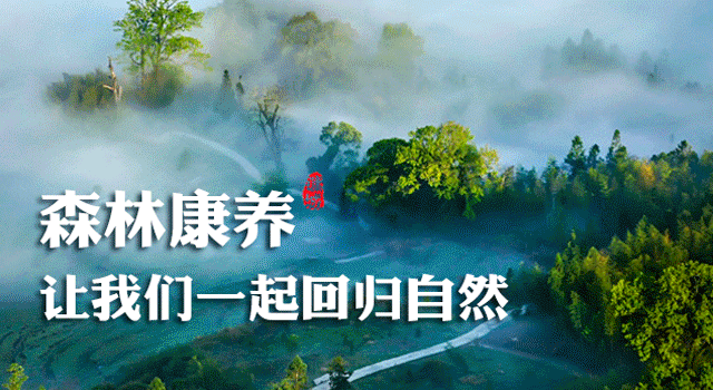 关于2022年将乐县事业单位公开招聘工作人员通告