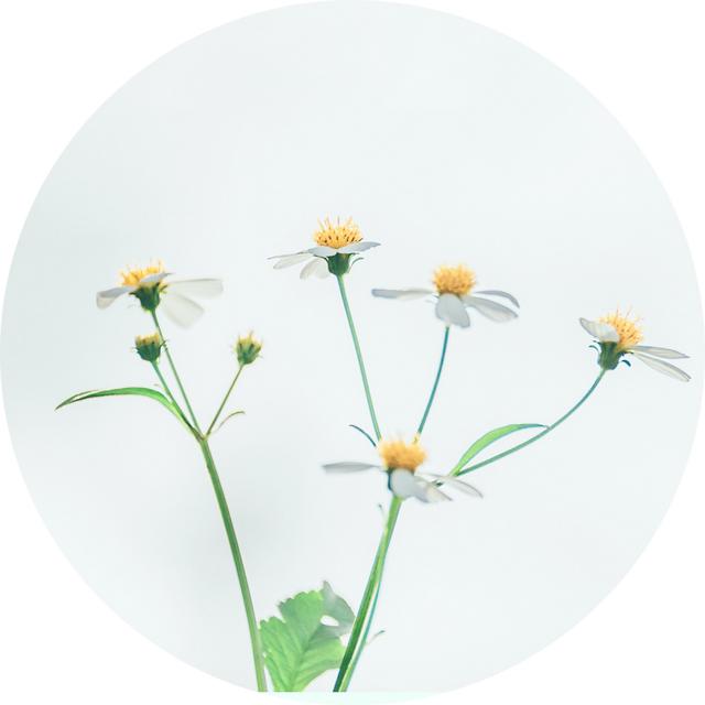 北平说 | 健康过冬，先让脾胃暖起来