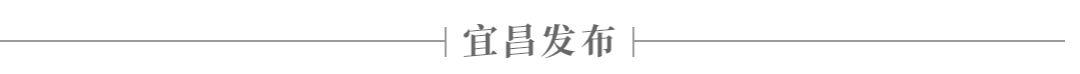 最新公告！湖北招募2200人