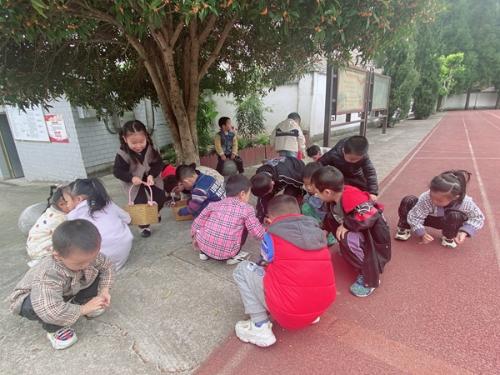 东阳市三单乡中心幼儿园：拾一路美好