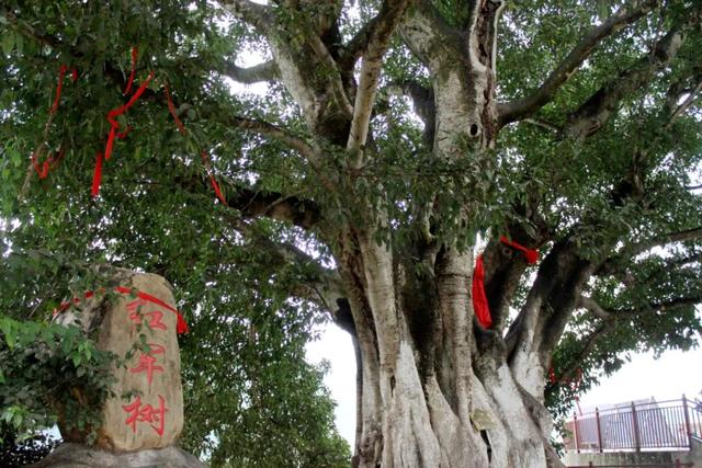 宣威螺旋洗砂机厂家