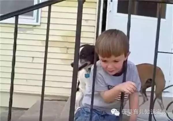 熊孩子的头，无所不卡