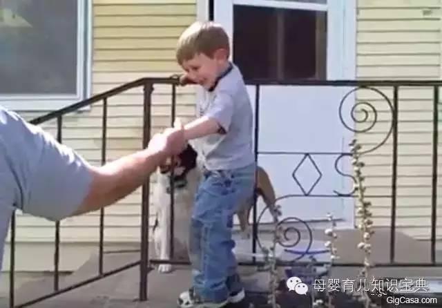 熊孩子的头，无所不卡