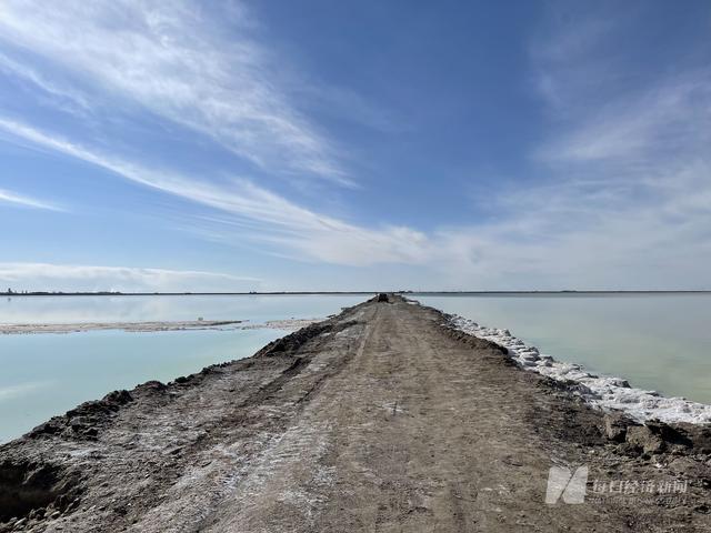 调查｜千亿市值盐湖股份连收监管函背后：关联方资金占用为何信披矛盾 被罚后钾肥售价降了吗