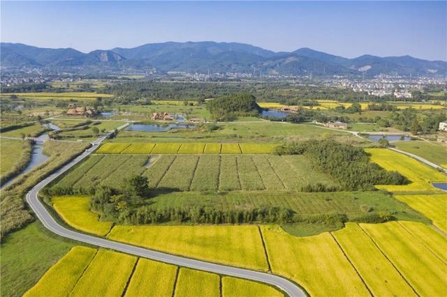 甘肃洗风化砂机供应商