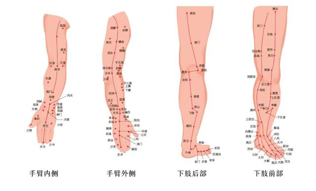 立冬降温，暖身我们有这几款冬季温补汤推荐