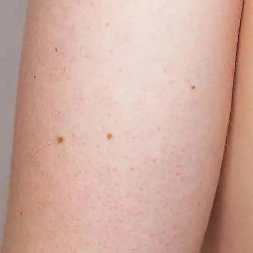身体乳营养滋养保湿 身体乳营养滋养保湿