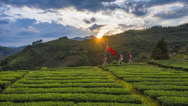 安溪印刷包装机械展公司