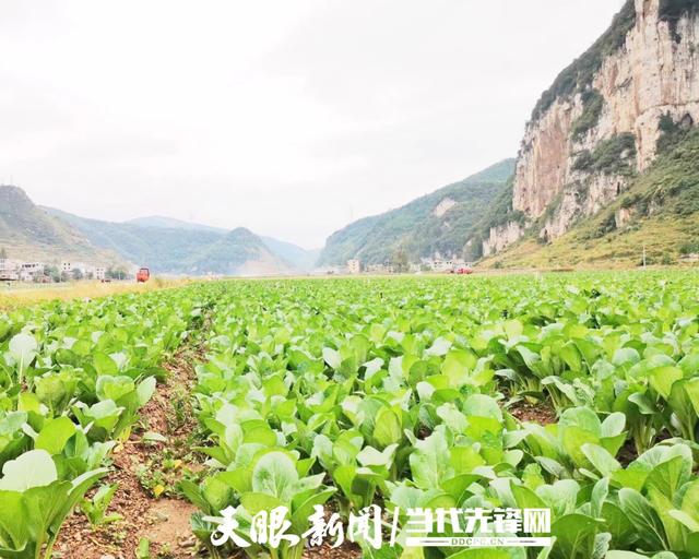 不辱金融使命 情系黔贵热土——贵州银行抢占数字经济新机 服务全省社会经济高质量发展