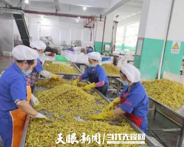 不辱金融使命 情系黔贵热土——贵州银行抢占数字经济新机 服务全省社会经济高质量发展