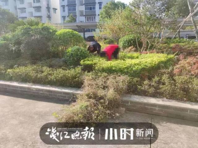 把孩子送给警察教育：为什么没人警醒，反倒有人欢呼？